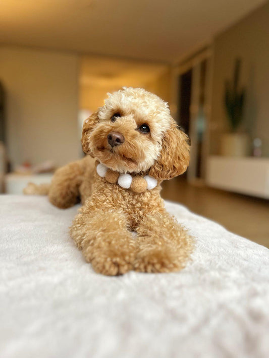 Pompom sieraad abrico